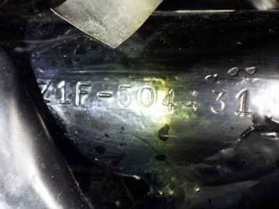 Kawasaki Z900 2025