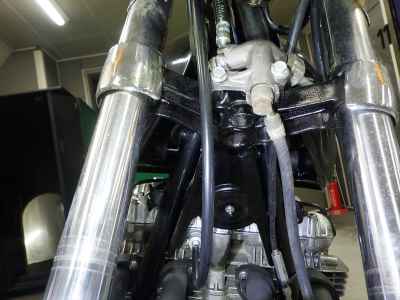 Kawasaki Z900 2025