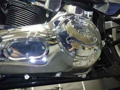 Harley-Davidson Deluxe FLSTN1450 2004