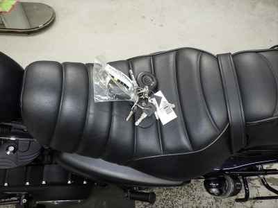 Harley-Davidson XL883N 2015