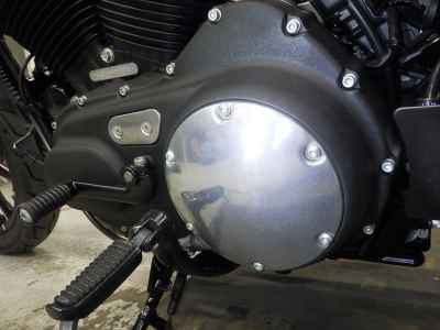 Harley-Davidson XL883N 2015