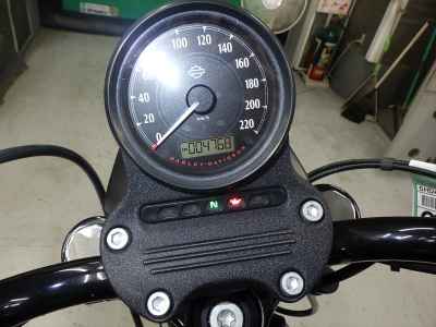 Harley-Davidson XL883N 2015
