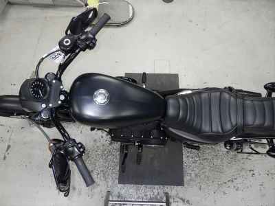 Harley-Davidson XL883N 2015