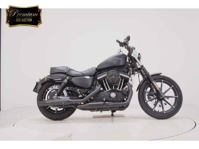 Harley-Davidson XL883N 2015