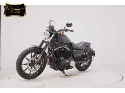 Harley-Davidson XL883N 2015