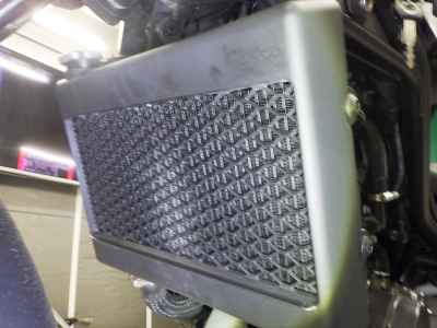 Honda Rebel CMX250 2019