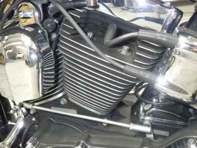 Harley-Davidson Deluxe FLSTN1580 2010