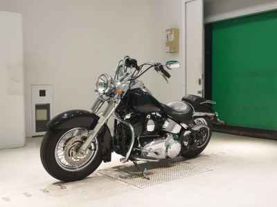 Harley-Davidson Deluxe FLSTN1580 2010