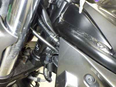 Suzuki SV650X 2019