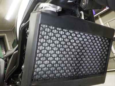 Honda CL250 2023