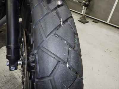 Honda CL250 2023