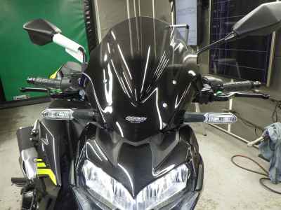 Kawasaki Z900 2021