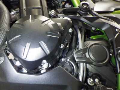 Kawasaki Z900 2021