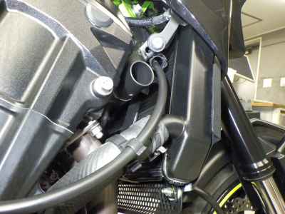 Kawasaki Z900 2021