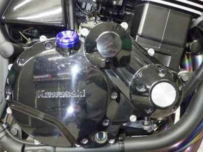 Kawasaki ZRX1200 DAEG 2009