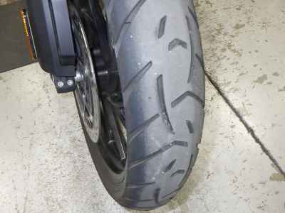 Triumph Tiger 1200 GT Pro 2022