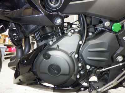 Kawasaki Z250 2023
