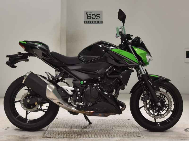 Kawasaki Z250 2023