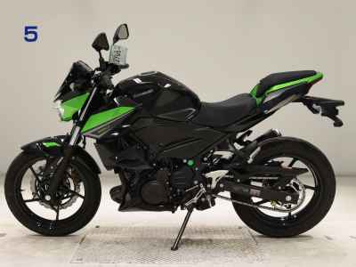 Kawasaki Z250 2023