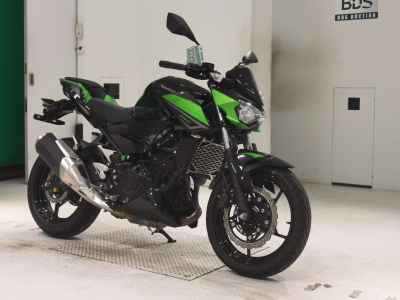 Kawasaki Z250 2023