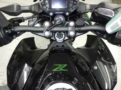 Kawasaki Z250 2023