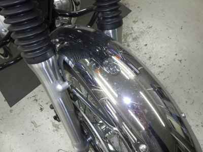 Kawasaki W800 2022