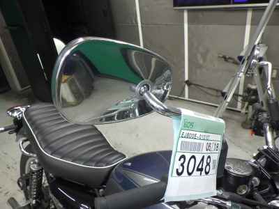 Kawasaki W800 2022