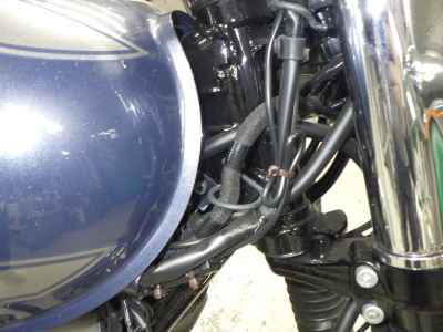 Kawasaki W800 2022