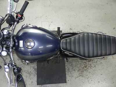 Kawasaki W800 2022