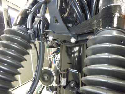 Kawasaki W800 2022