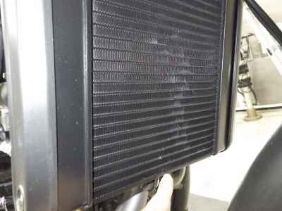 Harley-Davidson X500 2023