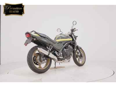Kawasaki Balius 1993