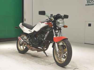 Yamaha RZ250R 1988