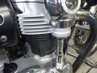 Kawasaki W800 2020
