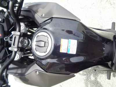 Kawasaki Versys-X 250 Tourer 2018