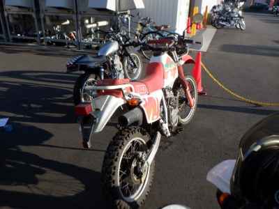 Honda XLR250R Baja 1991