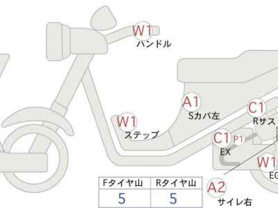 Kawasaki W800 2021