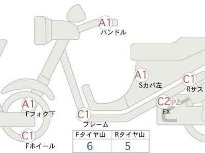 Kawasaki W800 2021