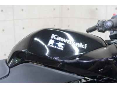 Kawasaki Ninja 250R 2008