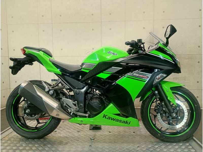 Kawasaki Ninja 250 2013