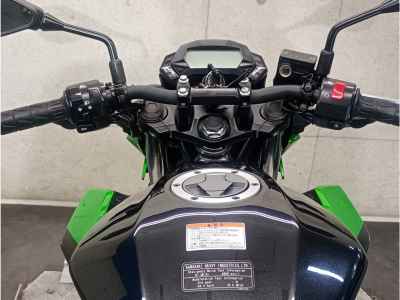 Kawasaki Z250SL 2016