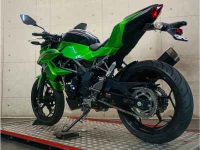 Kawasaki Z250SL 2016