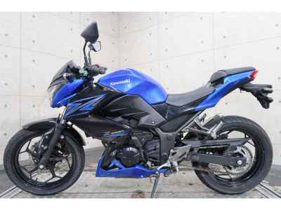 Kawasaki Z250 2015