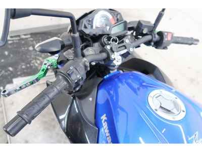 Kawasaki Z250 2015