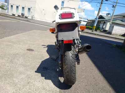 Yamaha FZR250R 1991