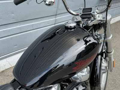 Harley-Davidson FXST 2025