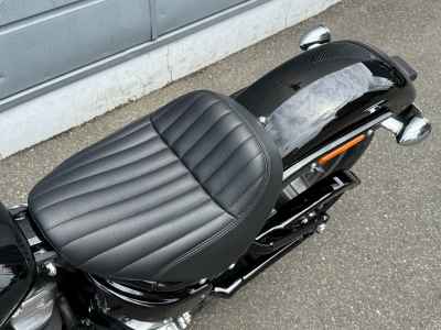 Harley-Davidson FXST 2025