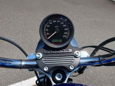 Harley-Davidson Sportster XL883R 2009