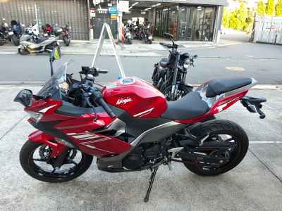Kawasaki Ninja 250 2022