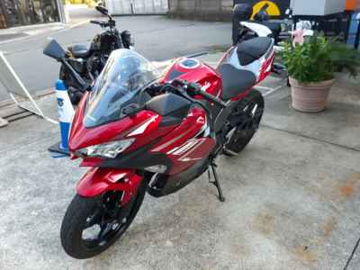 Kawasaki Ninja 250 2022